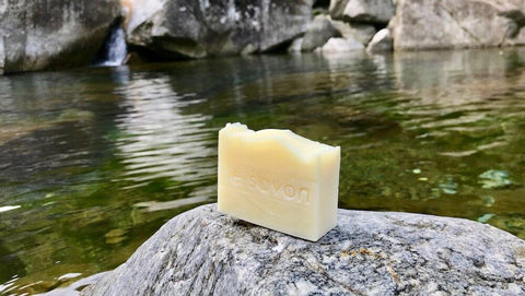 Naturseife Shampoo Pure