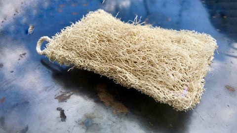 Luffaschwamm, küchenschwamm, Schwamm, Luffah, Luffa, Küche, Spülmittel, Abwaschen, Natürlich, Zerowaste