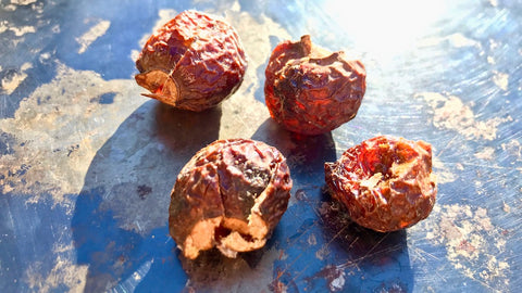 lesavon.ch, Le Savon, Soap Nut, Waschnuss, Natürliches Waschmittel, pflanzlich, vegan, nachhaltig, zero waste