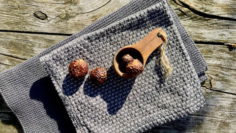 lesavon.ch, Le Savon, Soap Nut, Waschnuss, Natürliches Waschmittel, pflanzlich, vegan, nachhaltig, zero waste