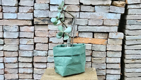 Le Savon, lesavon.ch, Uashmama, Paper Bag, Pflanze, Garten, Cachepot, Geschenkidee, Idee