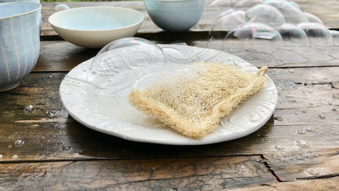 Luffaschwamm, küchenschwamm, Schwamm, Luffah, Luffa, Küche, Spülmittel, Abwaschen, Natürlich, Zerowaste