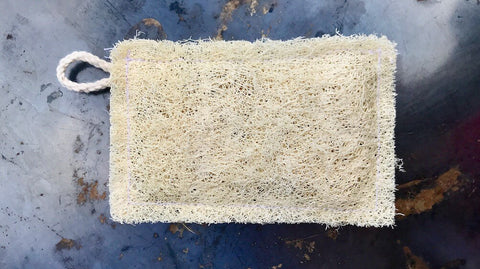 Luffaschwamm, küchenschwamm, Schwamm, Luffah, Luffa, Küche, Spülmittel, Abwaschen, Natürlich, Zerowaste