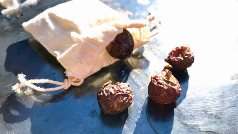 lesavon.ch, Le Savon, Soap Nut, Waschnuss, Natürliches Waschmittel, pflanzlich, vegan, nachhaltig, zero waste